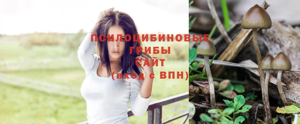 альфа пвп Горняк