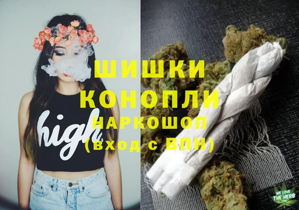 круглые Вяземский