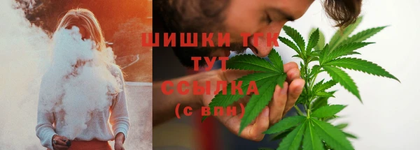 мяу мяу мука Вязьма