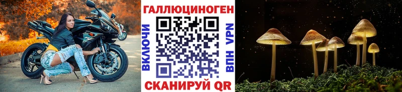Псилоцибиновые грибы прущие грибы  Купить закладки  Ржев 